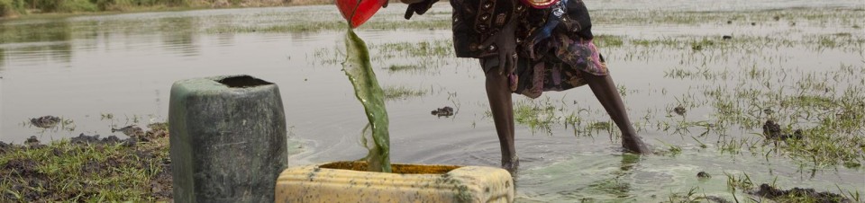 A woman harvests spirulina, in Bol, the capital of Lac Region. Spirulina is a nutritious alga that has been cultivated in Chad for centuries and is often dried into cakes, known locally as « dihé ».
