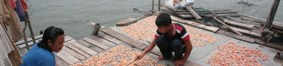 Twelve-year-old Zaini Ali, a member of the Bajau ethnic group, helps his mother dry shrimp on a dock outside their home, on Timbang Island in the state of Sabah. 
